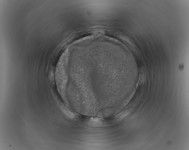 X0000089910573200707271717