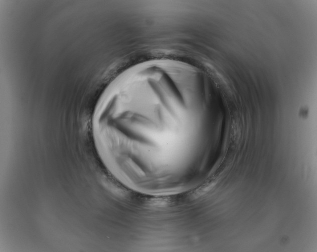 X0000089910574200707271717