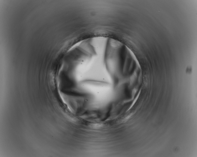 X0000089910575200707271717