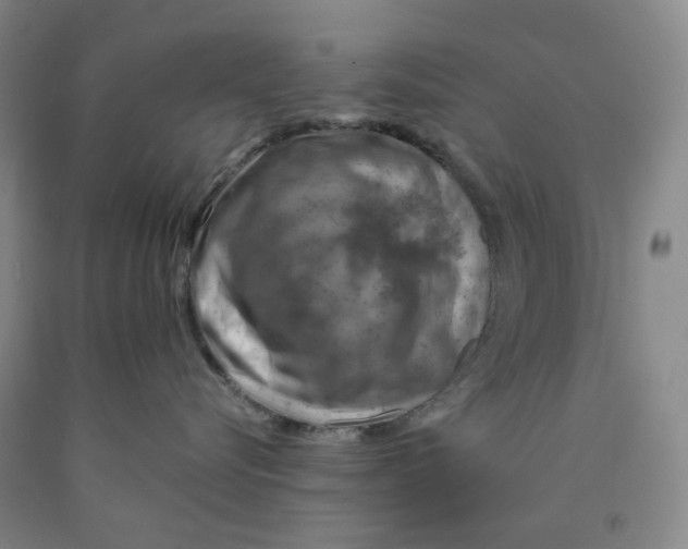 X0000089910576200707271717