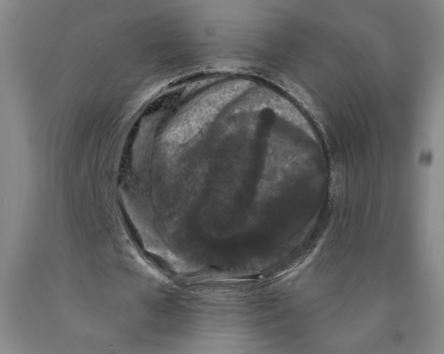 X0000089910577200707271716