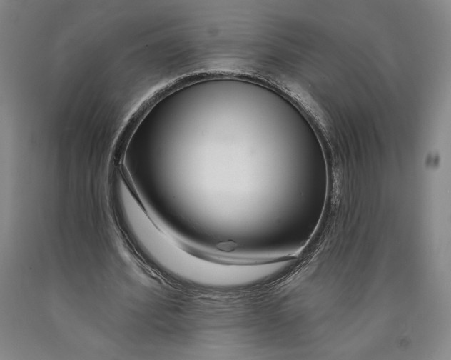 X0000089910580200707271716