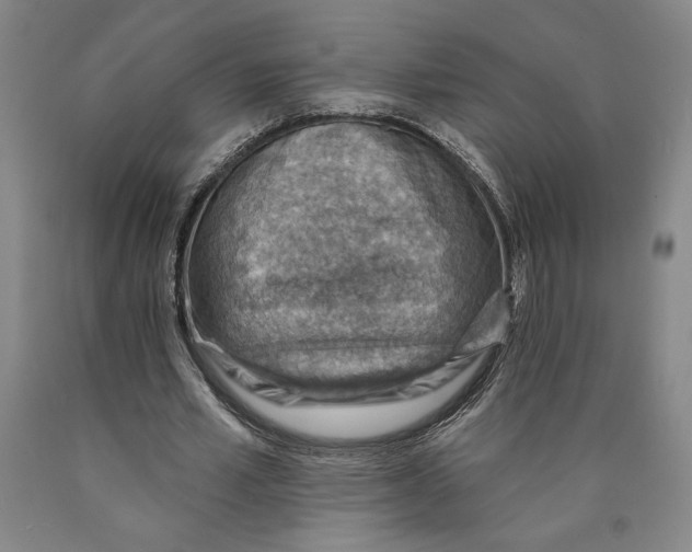 X0000089910581200707271716