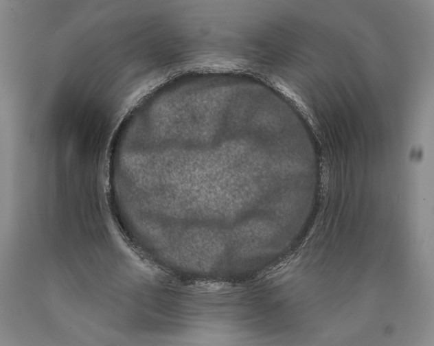 X0000089910582200707271716