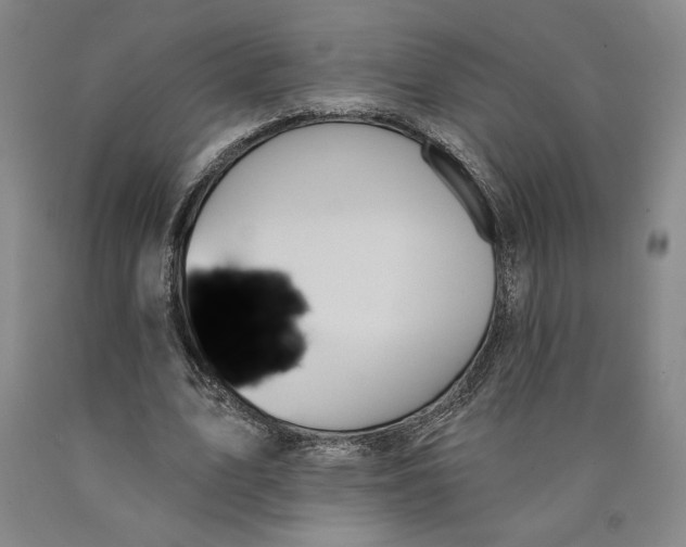 X0000089910583200707271716