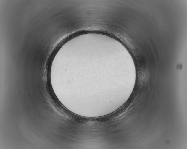 X0000089910584200707271716