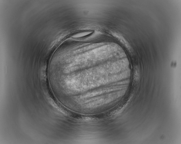 X0000089910585200707271716