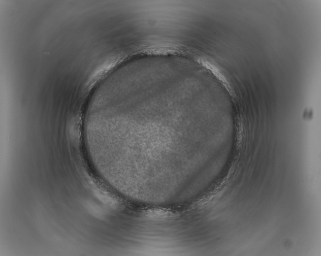 X0000089910586200707271716