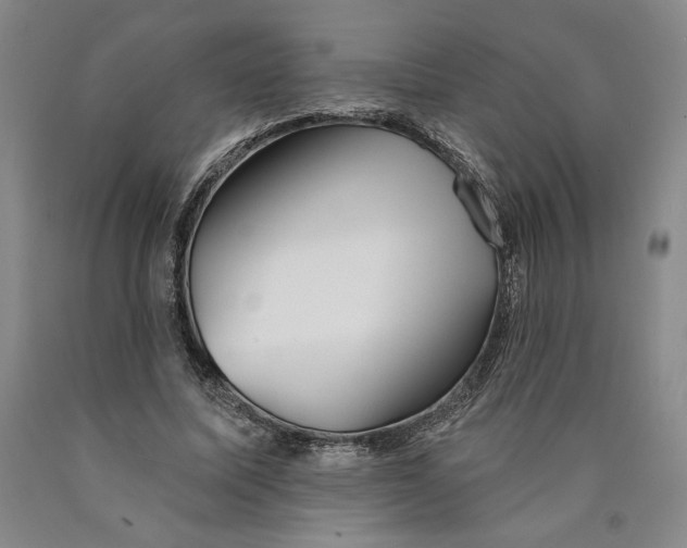 X0000089910587200707271716