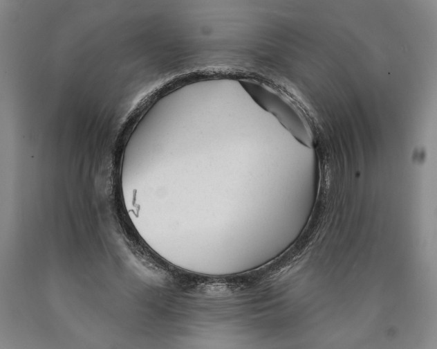 X0000089910588200707271716