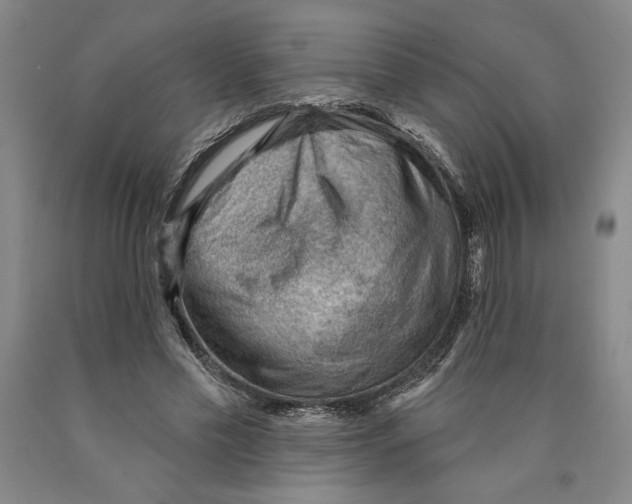 X0000089910589200707271716