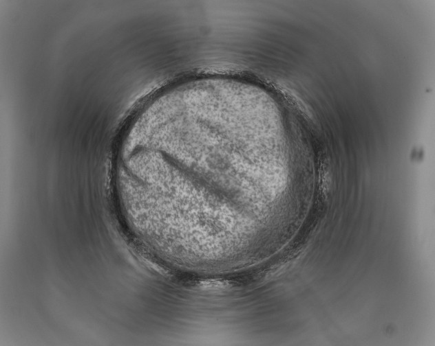 X0000089910591200707271716