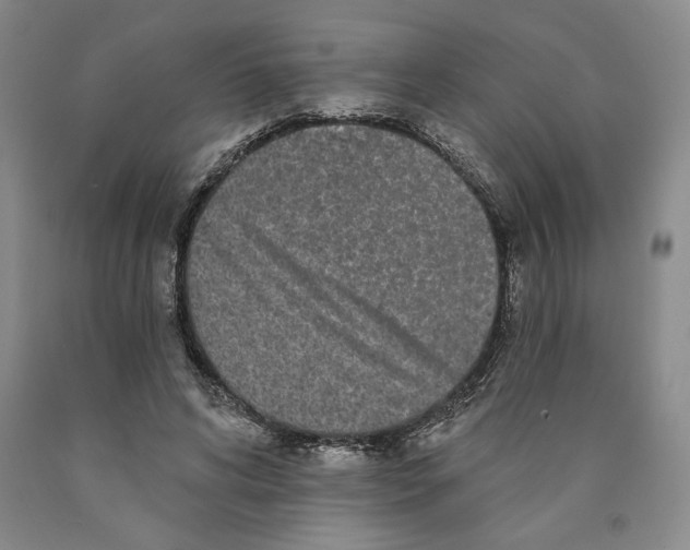 X0000089910592200707271716