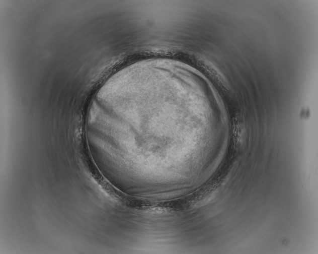 X0000089910593200707271716