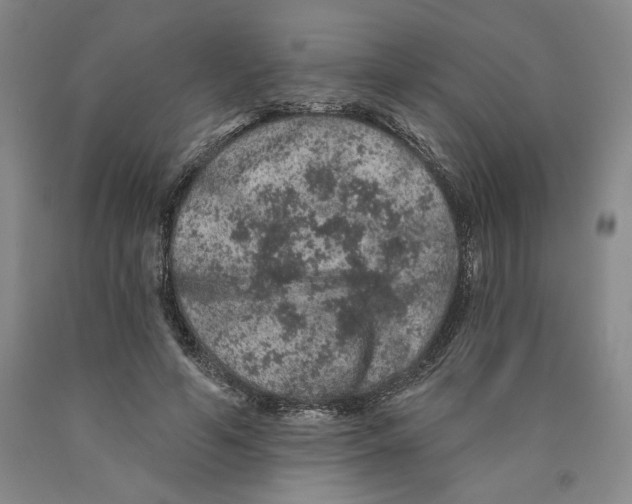 X0000089910594200707271716