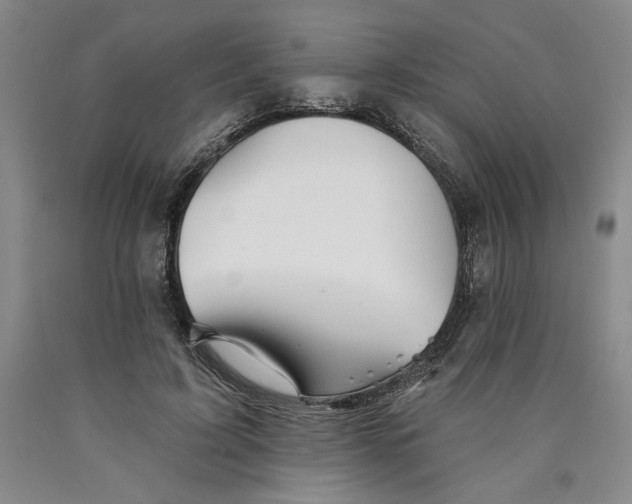 X0000089910595200707271716