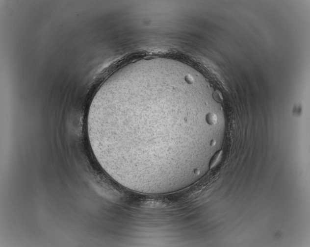 X0000089910596200707271716