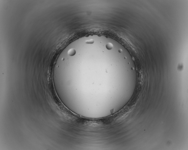 X0000089910597200707271716