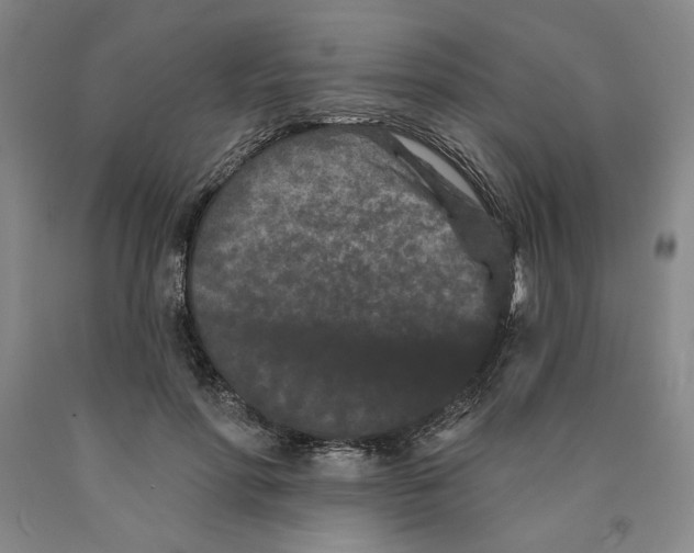 X0000089910598200707271716