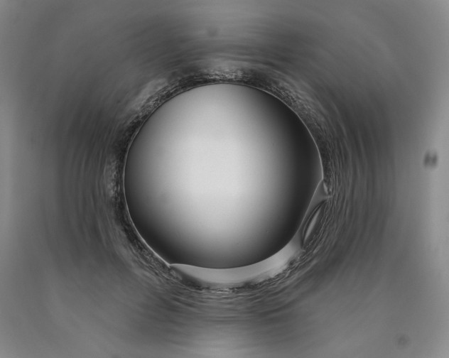 X0000089910600200707271716