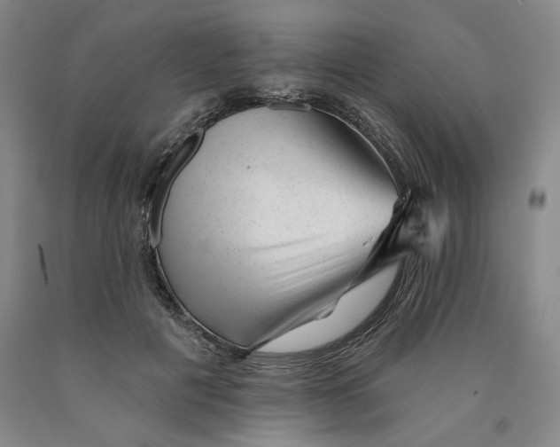 X0000089910601200707271716