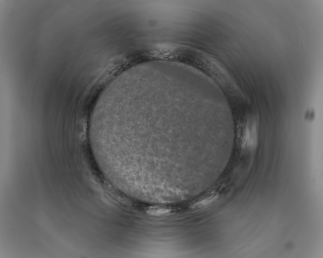 X0000089910602200707271716