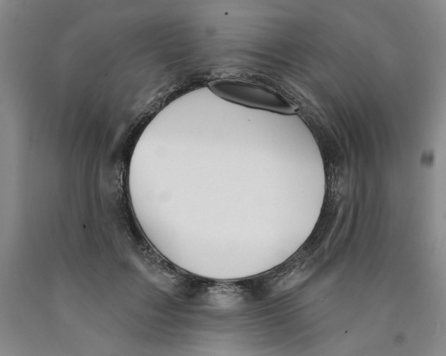 X0000089910603200707271716