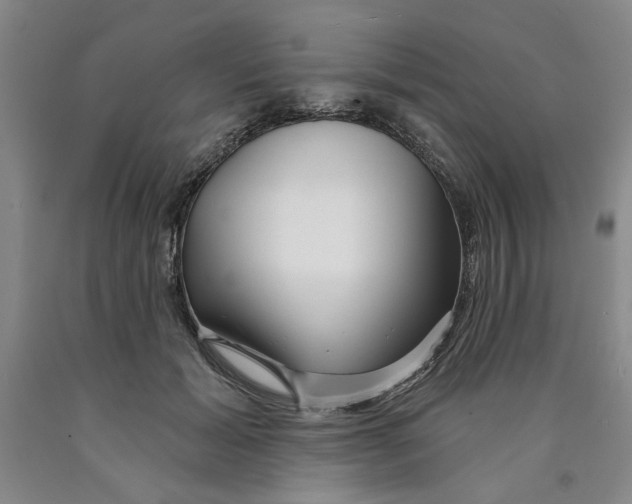 X0000089910605200707271716