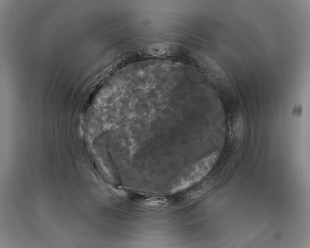 X0000089910606200707271716