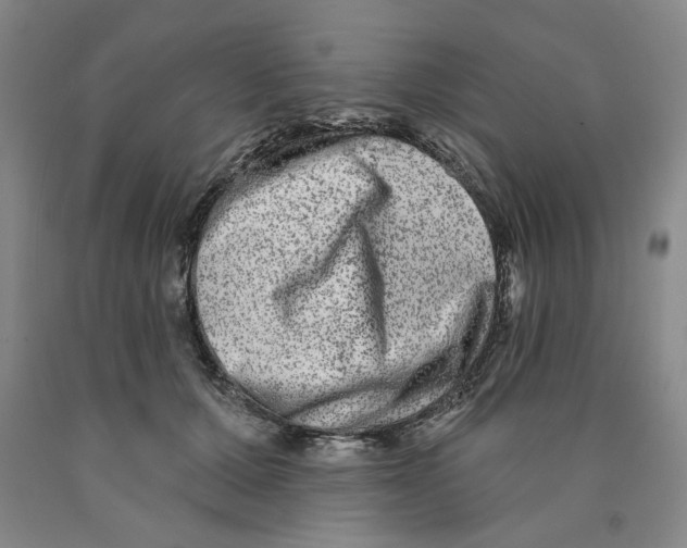 X0000089910607200707271716