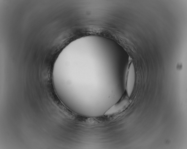 X0000089910608200707271716