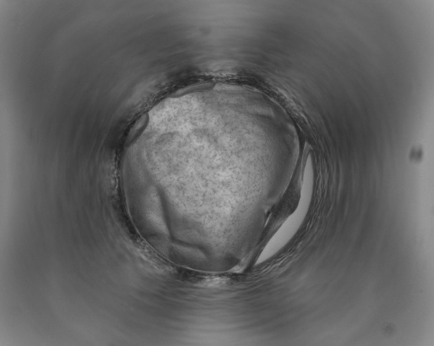 X0000089910609200707271716