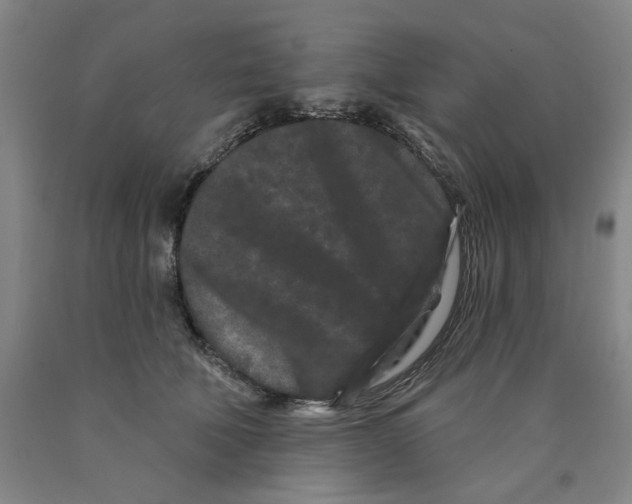 X0000089910610200707271716