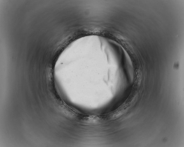 X0000089910612200707271716