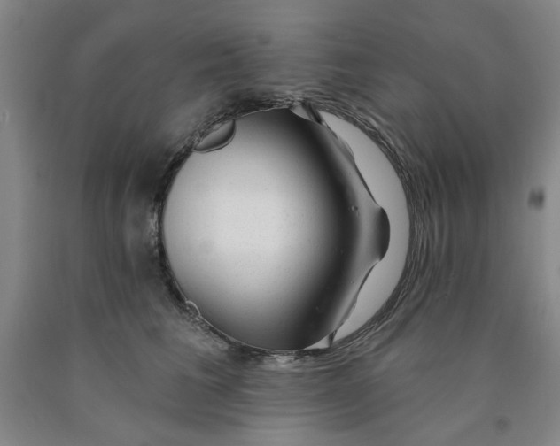 X0000089910613200707271716