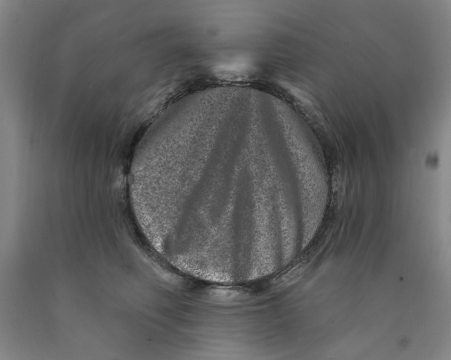 X0000089910614200707271716