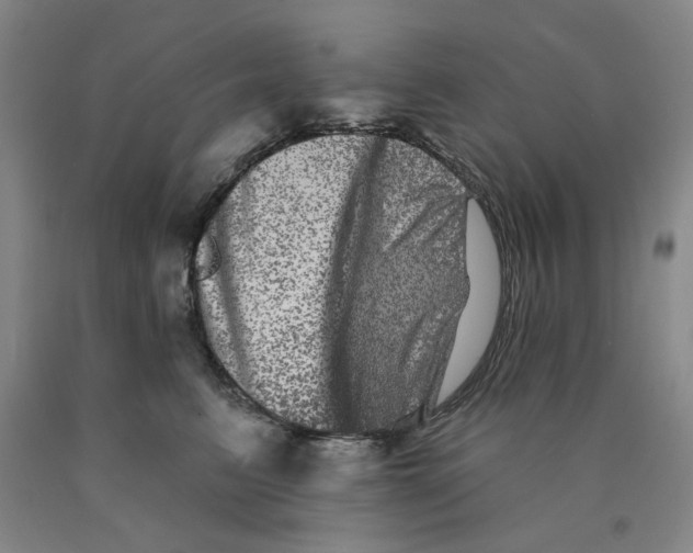 X0000089910615200707271716