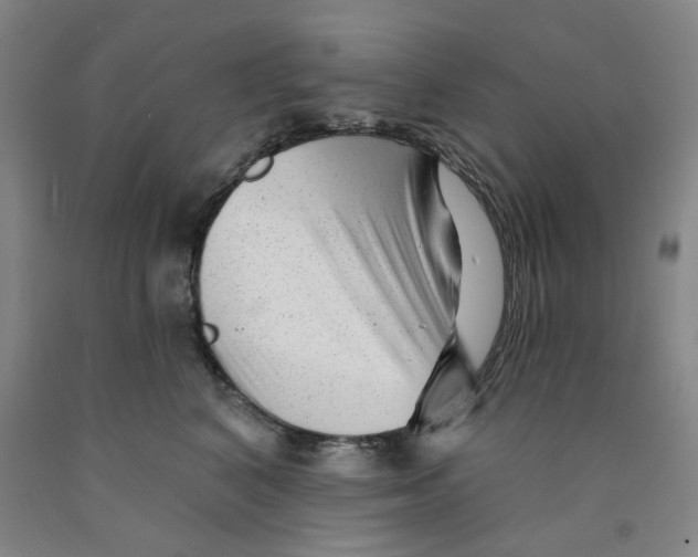 X0000089910616200707271716