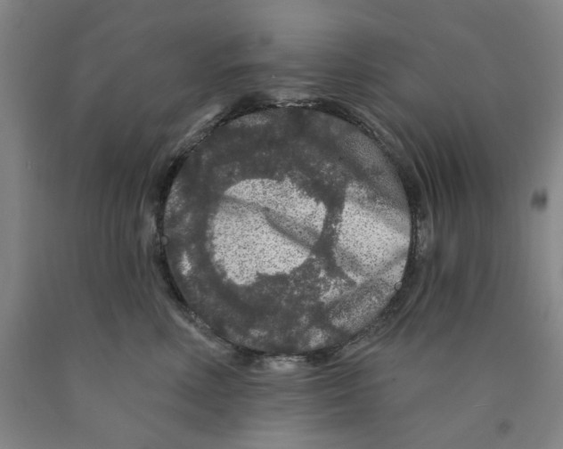 X0000089910618200707271716