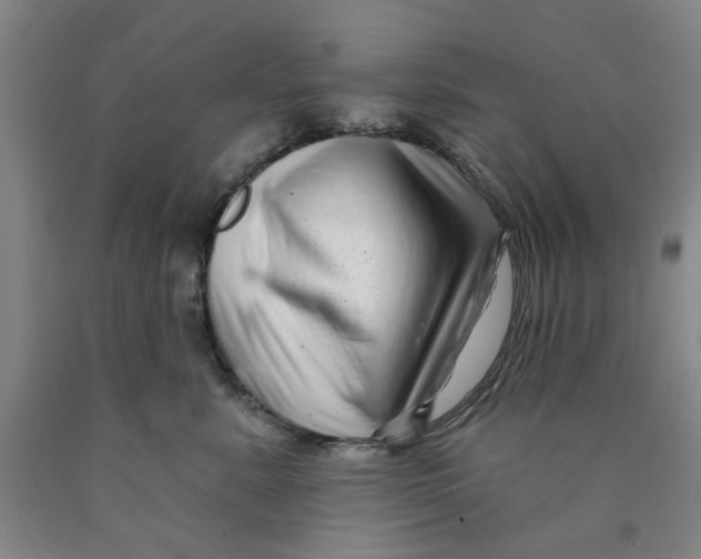 X0000089910619200707271716