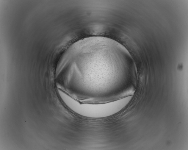 X0000089910620200707271716