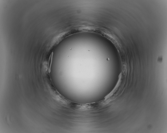 X0000089910621200707271716