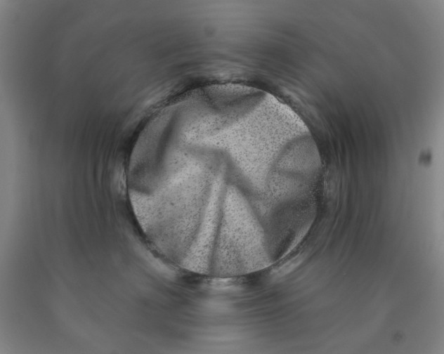 X0000089910622200707271716