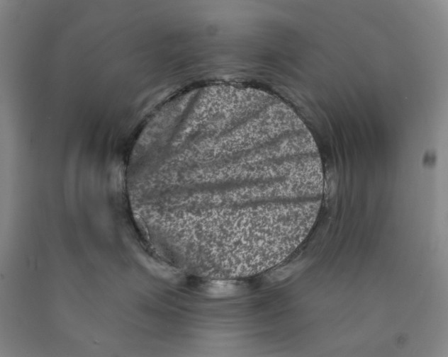 X0000089910623200707271716