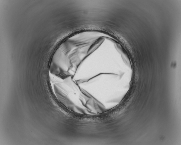 X0000089910625200707271715