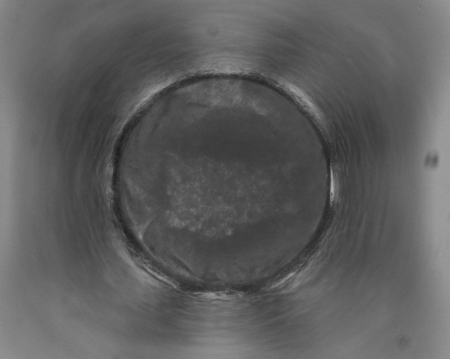 X0000089910627200707271715