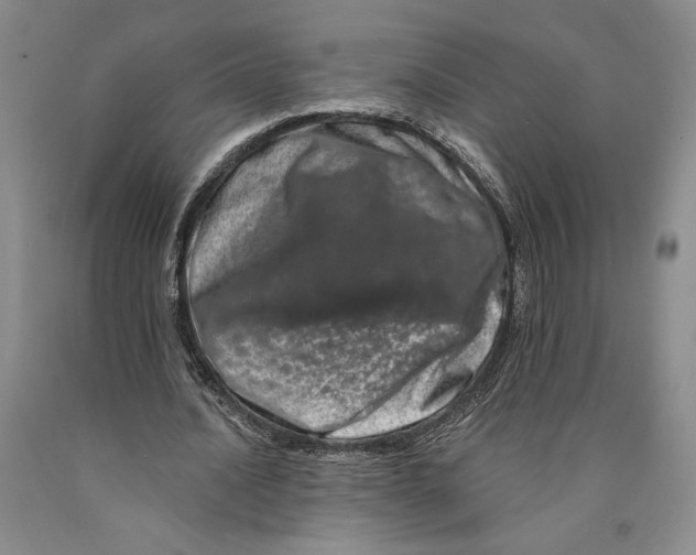 X0000089910628200707271715