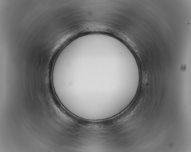 X0000089910629200707271715