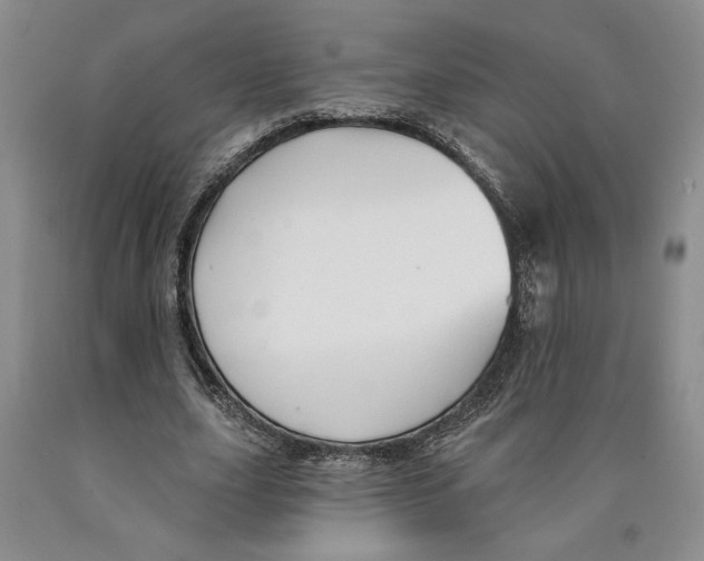 X0000089910631200707271715