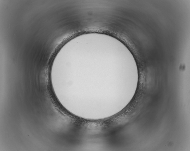 X0000089910632200707271715